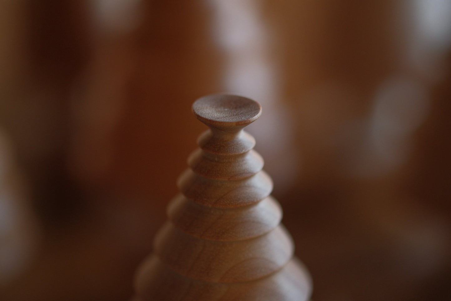 ワインを飲む木・飲まない木(クリスマスツリー)