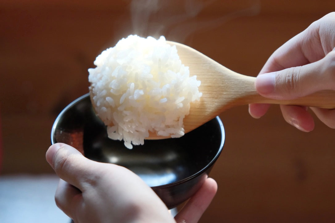 Rice Bowl (Urushi)