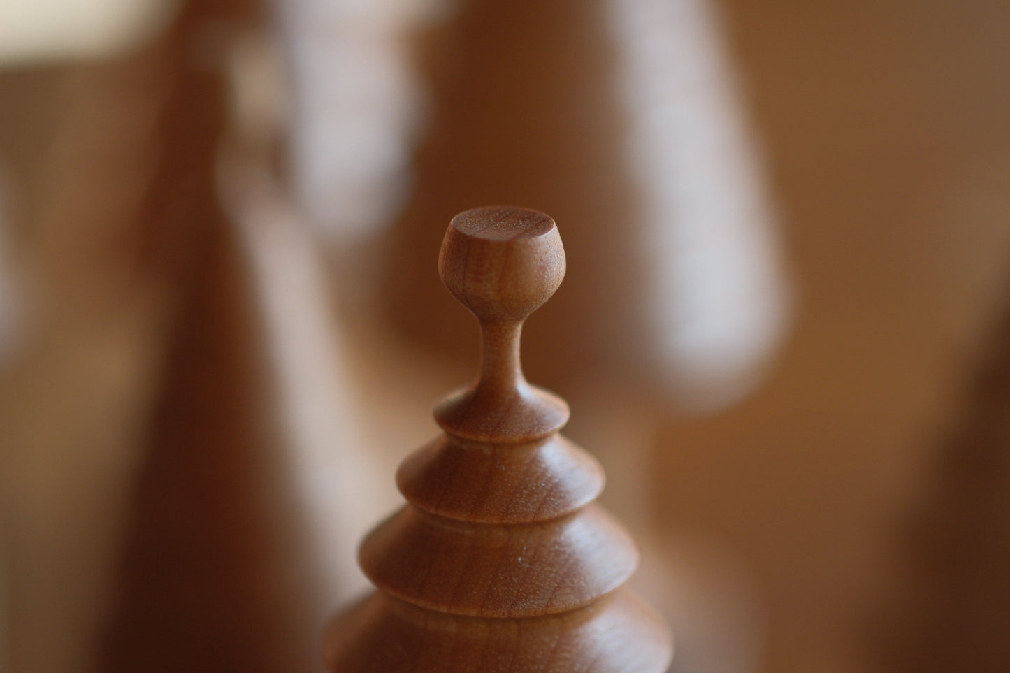 ワインを飲む木・飲まない木（クリスマスツリー）