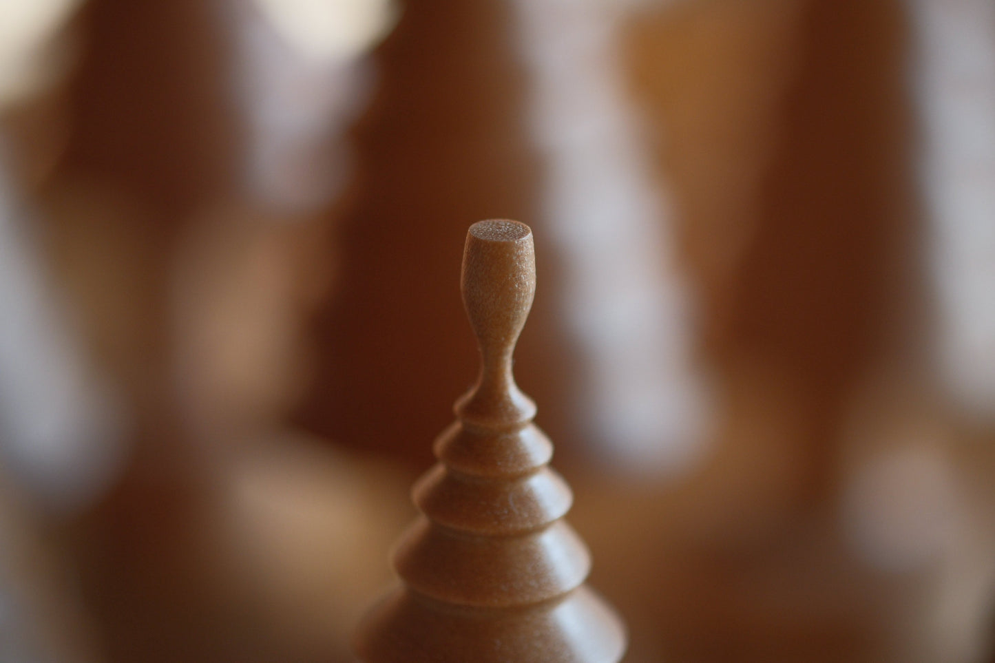 ワインを飲む木・飲まない木（クリスマスツリー）