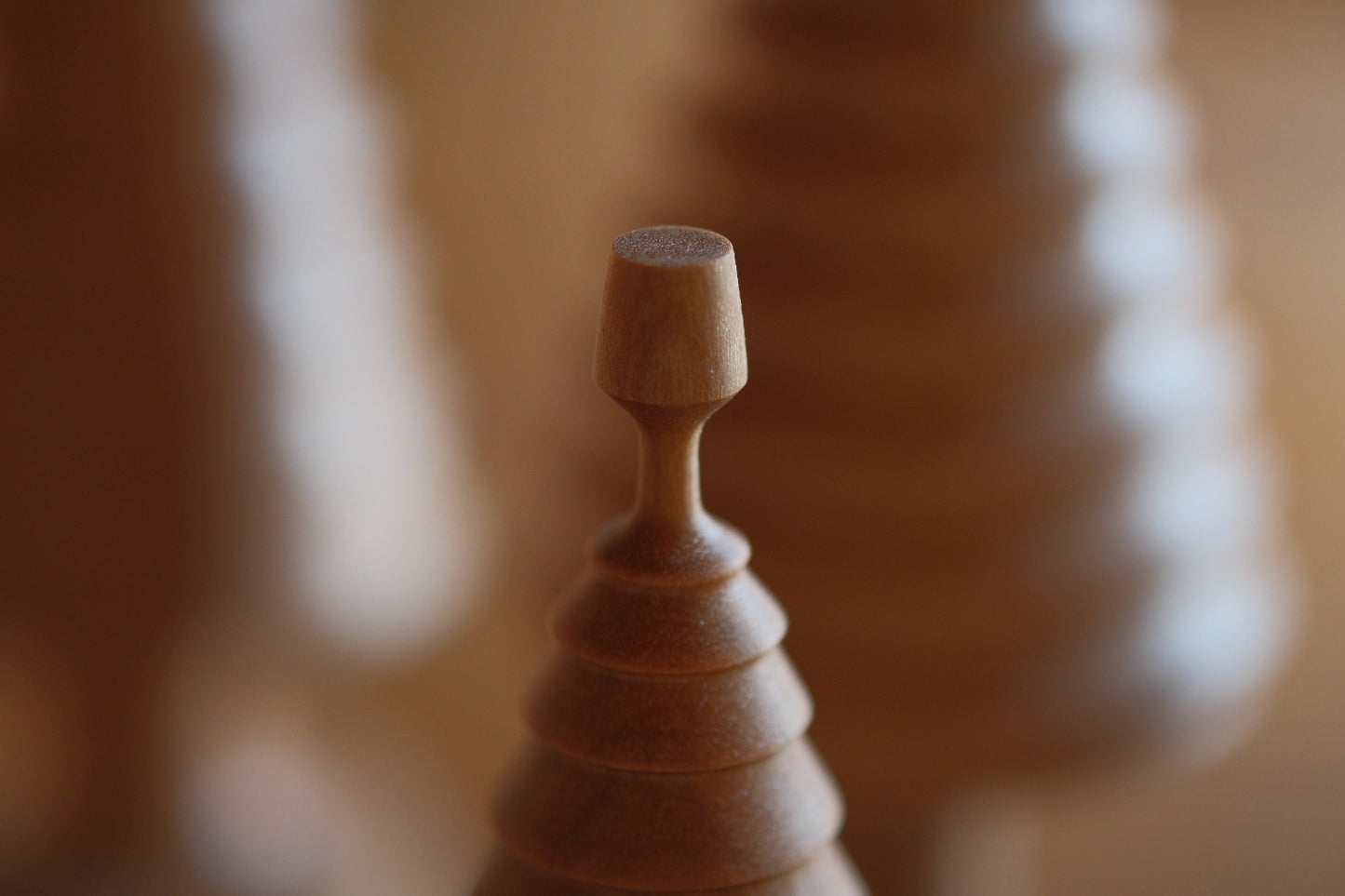 ワインを飲む木・飲まない木（クリスマスツリー）